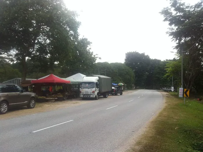ALONG BUAH JELEBU Picture 6