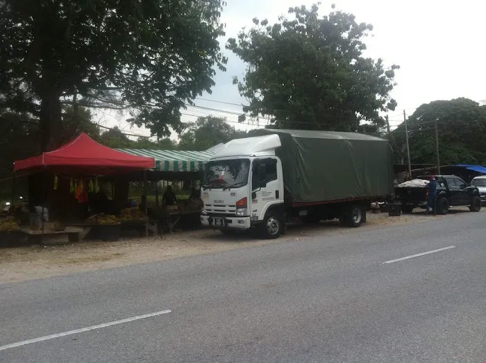 ALONG BUAH JELEBU Picture 4