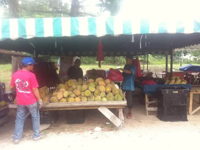 ALONG BUAH JELEBU Picture 3