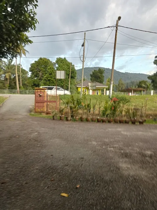 ALONG BUAH JELEBU Picture 7