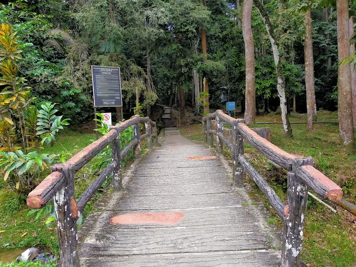 FRIM Camping Area Picture 8