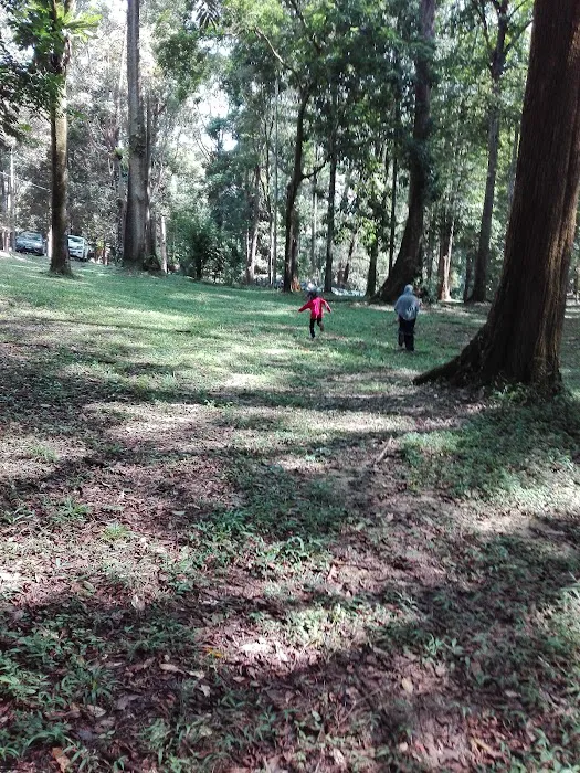 Dipterocarp Arboretum Picture 6