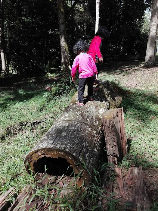 Dipterocarp Arboretum Picture 4