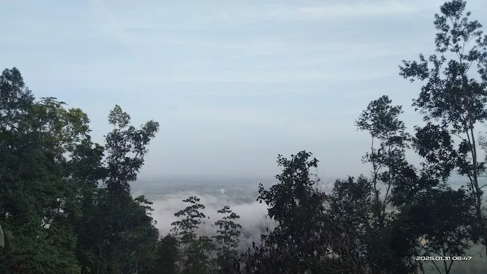 PUNCAK BUKIT KEPANG Picture 4