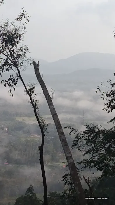 PUNCAK BUKIT KEPANG Picture 1