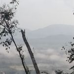 PUNCAK BUKIT KEPANG