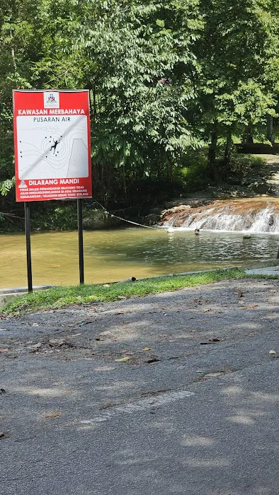 Bukit Lagong Forest Reserve Picture 7