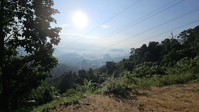 Bukit Lagong Forest Reserve Picture 6
