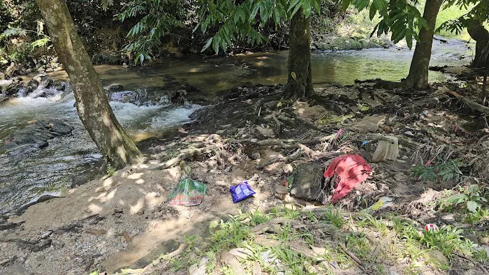 Bukit Lagong Forest Reserve Picture 8