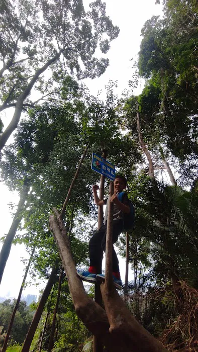 Bukit Lagong Forest Reserve Picture 1