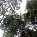 Bukit Lagong Forest Reserve