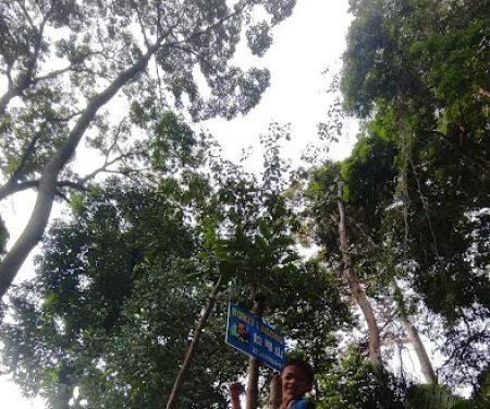Bukit Lagong Forest Reserve