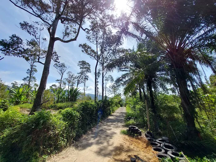 Broga Hill Park Picture 10