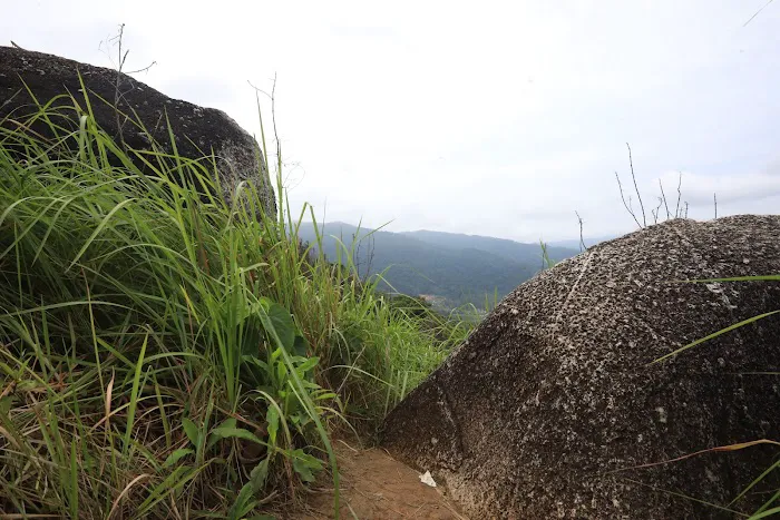 Broga Hill Park Picture 5