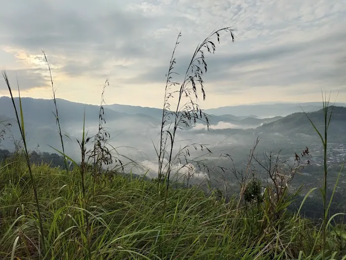 Broga Hill Park Picture 7