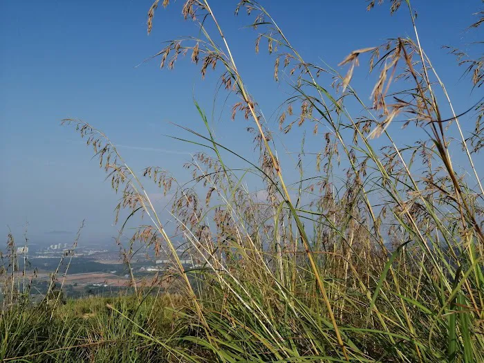 Broga Hill Park Picture 4