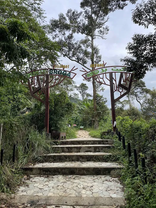Broga Hill Park Picture 8