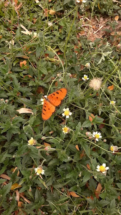 Seksyen 14 community park Picture 6