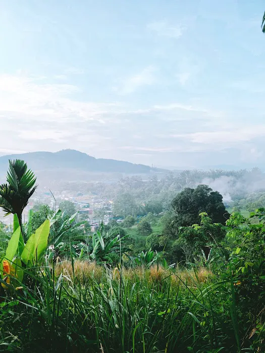 Broga Hill Free Park Free Trail By MPKj Picture 6