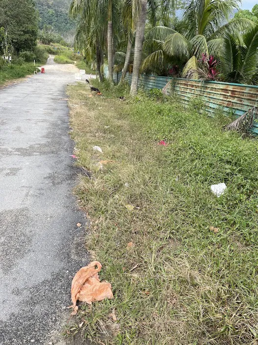 Broga Hill Free Park Free Trail By MPKj Picture 2