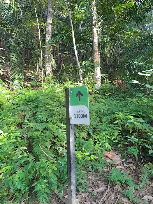 Broga Hill Free Park Free Trail By MPKj Picture 9