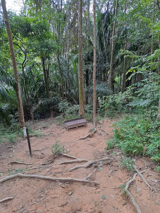 Broga Hill Free Park Free Trail By MPKj Picture 5