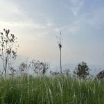 Broga Hill 2nd Hilltop