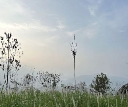 Broga Hill 2nd Hilltop