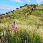 Broga Hill 1st Hilltop