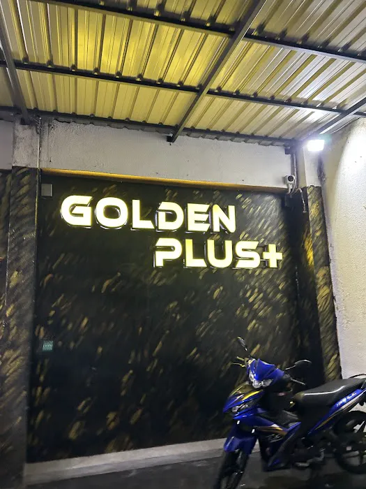 Golden Plus Picture 5