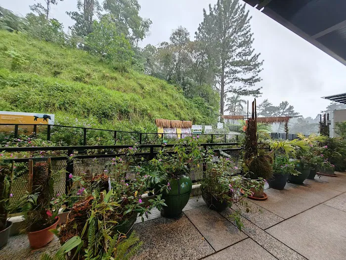 Genting Nature Adventures Picture 3