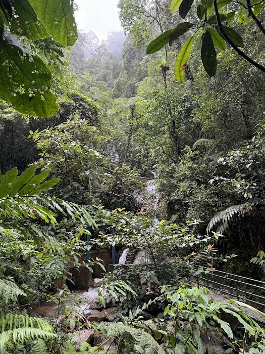 Genting Nature Adventures Picture 8