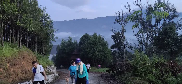 Bukit Gondol Picture 2
