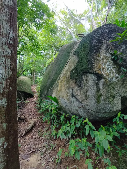 Bukit Gondol Picture 8