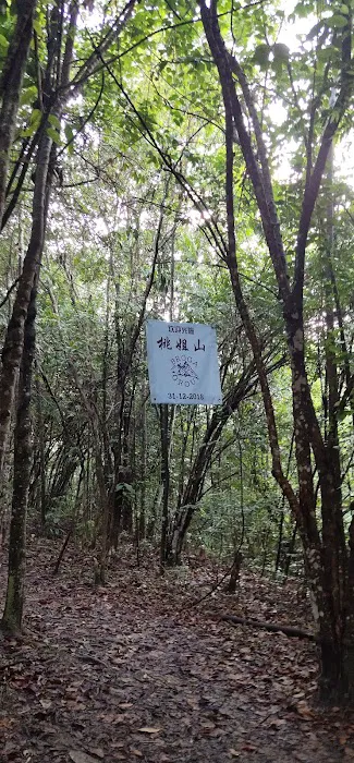 Bukit Gondol Picture 1