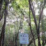 Bukit Gondol