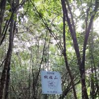 Bukit Gondol ico