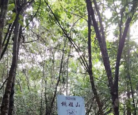 Bukit Gondol