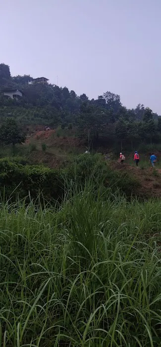 Bukit Gondol Picture 5
