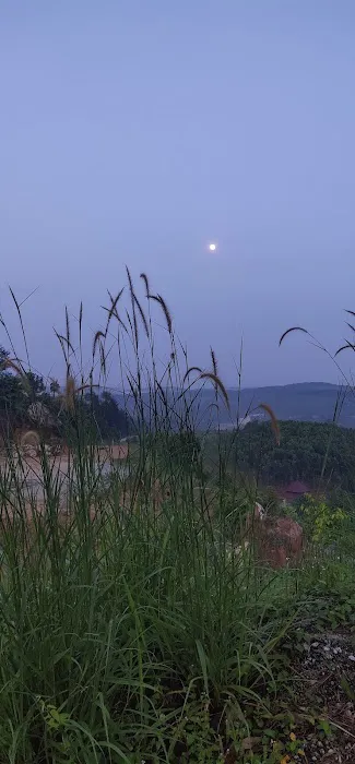 Bukit Gondol Picture 3