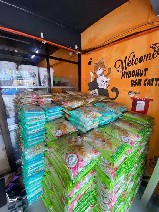 MYDONUT BSH CATTERY Picture 6