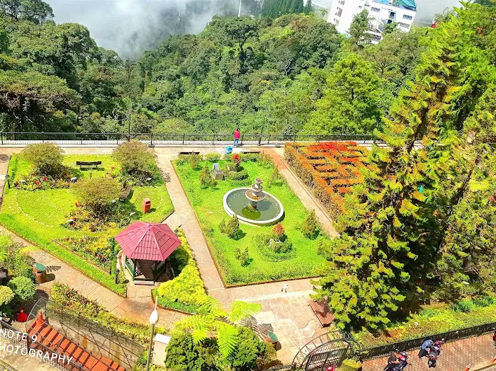 Talking Garden Picture 1