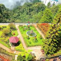 Talking Garden ico