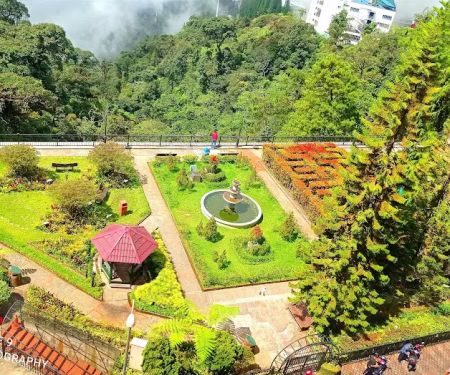Talking Garden
