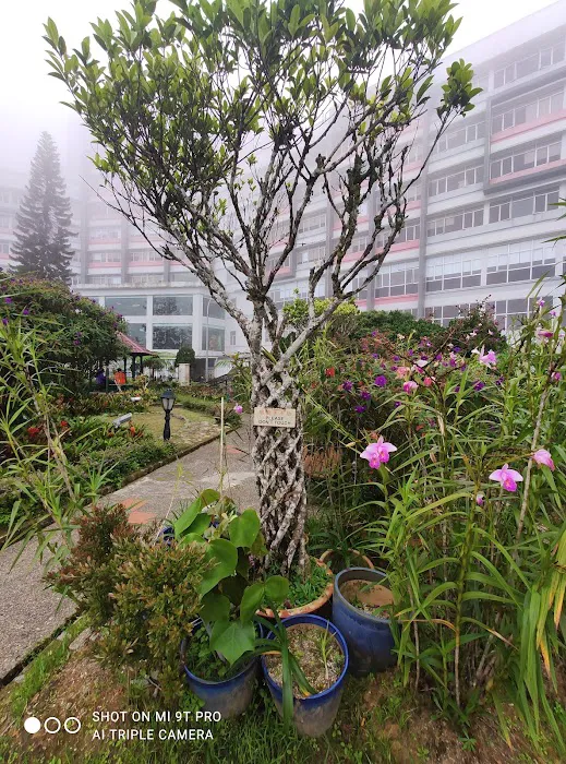 Talking Garden Picture 3