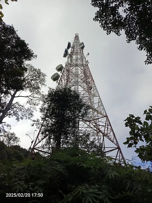 Bukit Pelindung (Puncak Kiri) Picture 5