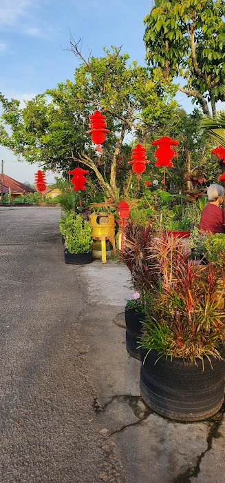 My home Picture 3