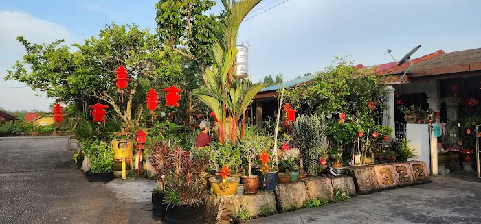 My home Picture 2