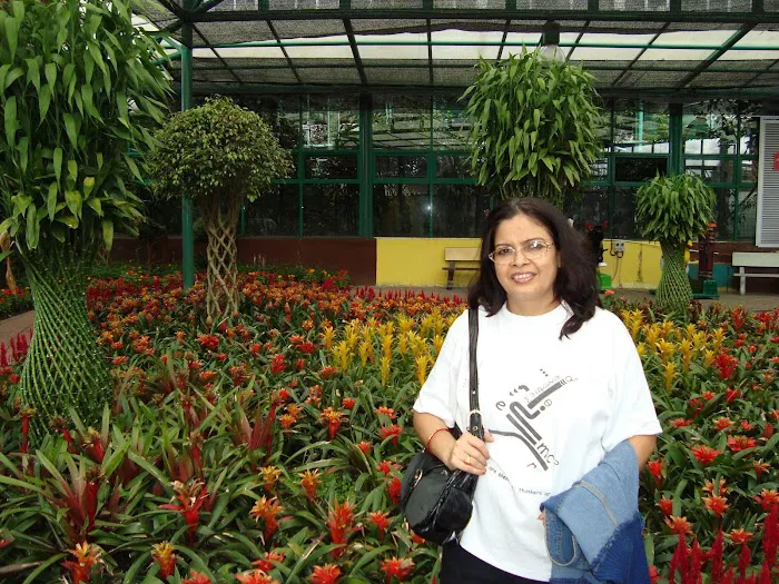 Theme Park Picture 4
