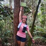 Gunung Rawang Matahari
